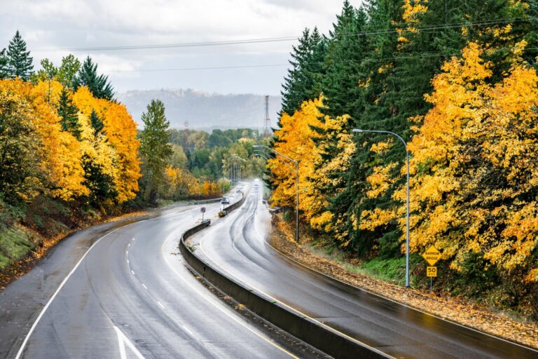 Rainy Roads and Car Accidents: Protecting Your Health This Fall